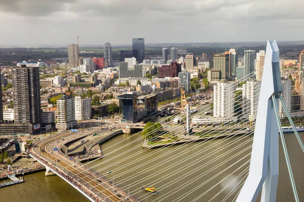 Rotterdam-Erasmusbrücke — Stockfoto
