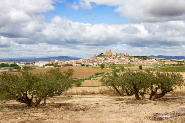 Landscape Navarre Spain — Stock Photo, Image