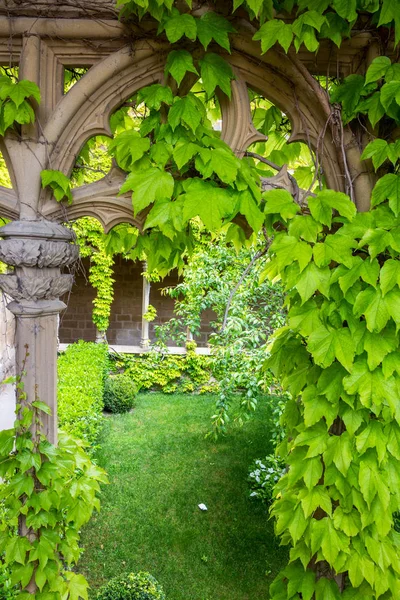 Cour intérieure verte — Photo