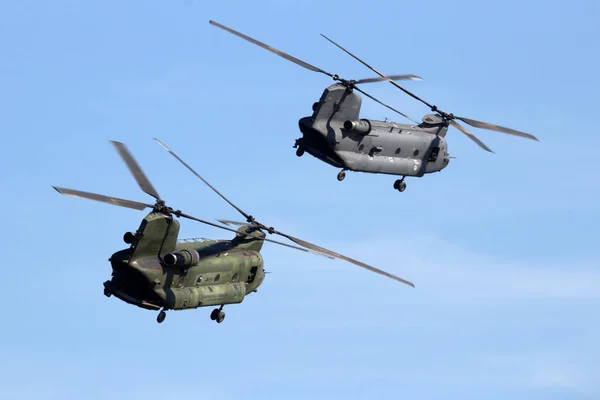 Chinook transport helikopters — Stockfoto