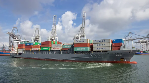 Containerhaven scheepvaart — Stockfoto