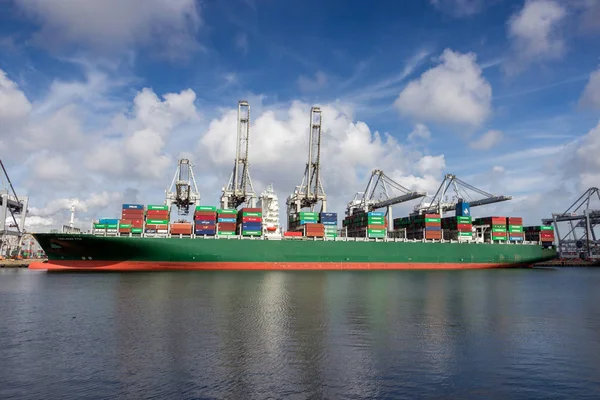 Transporte do porto do contentor — Fotografia de Stock