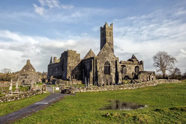 Quin Abbey, County Clare, Ireland — Stock Photo, Image