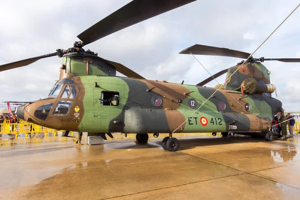 Exército Espanhol Boeing CH-47 Chinook helicóptero de transporte — Fotografia de Stock