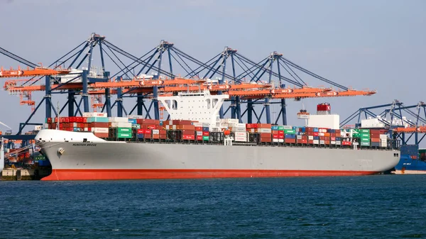 Konteyner gemisi port kargo terminali — Stok fotoğraf