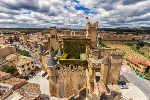 Castle Olite Navarra Spain — 스톡 사진