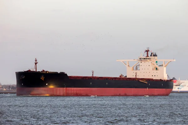 Large Oil Tanker Moored Port Rotterdam Stock Photo