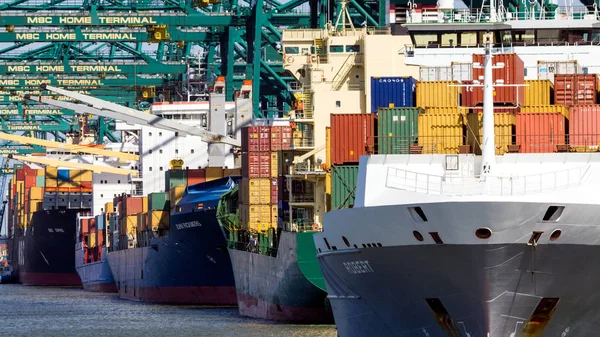 Barcos en el envío Terminal de puerto de contenedores — Foto de Stock