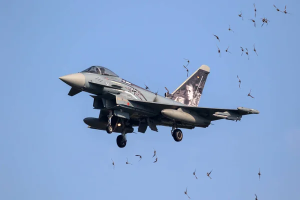 Bird strike danger fighter jet plane — Stock Photo, Image