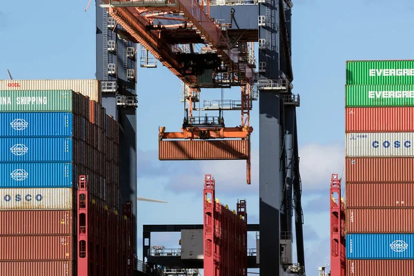 Grúa de pórtico de contenedores Puerto de Rotterdam —  Fotos de Stock