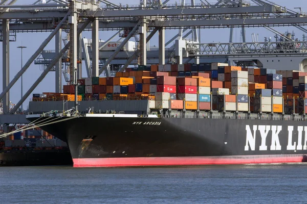 Container navio guindaste porto de rotterdam — Fotografia de Stock