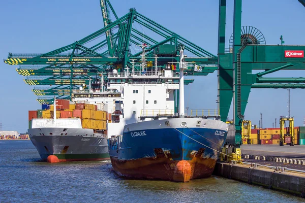 Navi portacontainer porto terminale di spedizione — Foto Stock