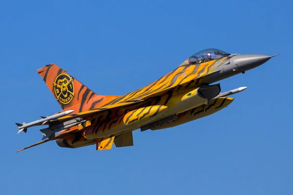 Tiger vojenské stíhačky F16 — Stock fotografie