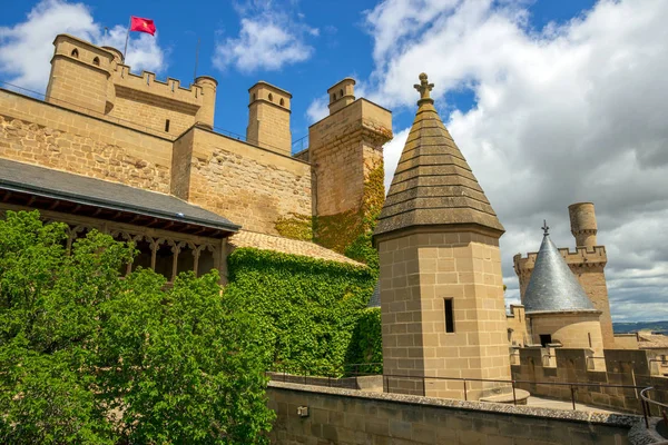 Castle Olite Navarra Spain — 스톡 사진