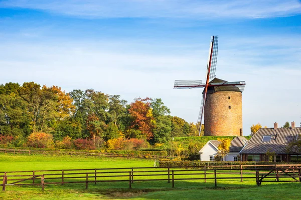 Винтажная ветряная мельница в сельской местности. Зеддам, Голландия — стоковое фото
