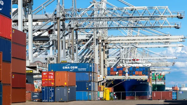 Containerfartyg lastas med portalkranar i Maasvla — Stockfoto