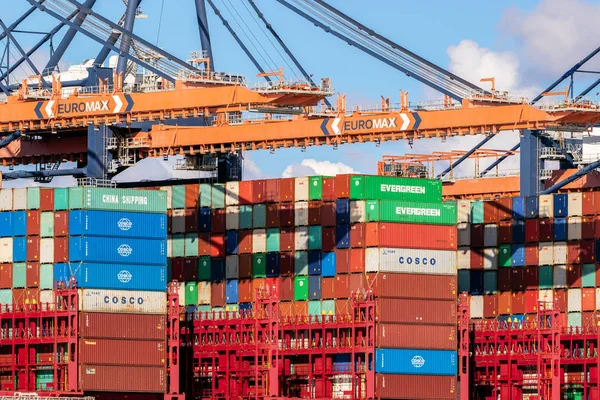 Containerschiff wird in der Maasvlakte mit Portalkränen beladen — Stockfoto