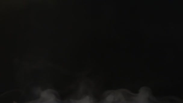 Fumaça altamente detalhada com alfa — Vídeo de Stock
