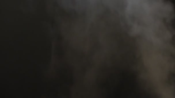 アルファ高詳細な煙 — ストック動画