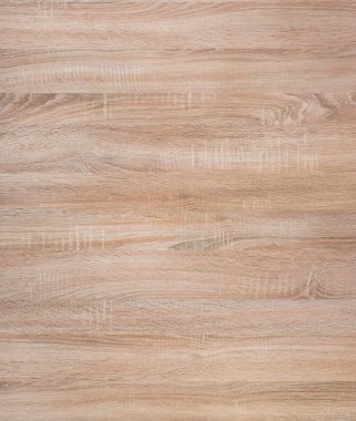 Meşe yüksek çözünürlüklü doku