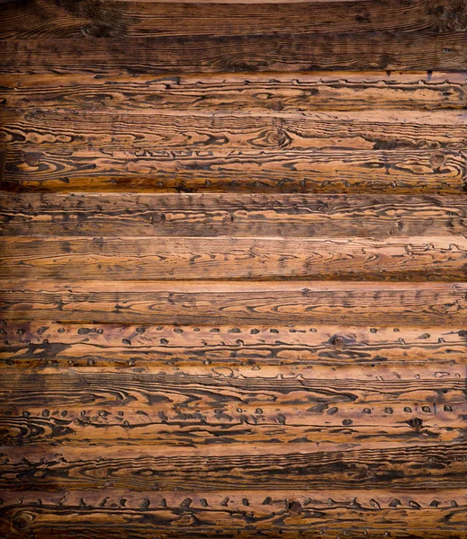 Φυσικό massif ξύλο υφή — Φωτογραφία Αρχείου