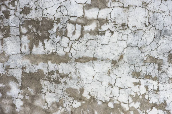 Wet concrete texture with cracks