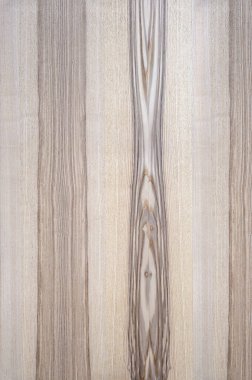 Ağaç doğal yüksek çözünürlüklü kaplama.