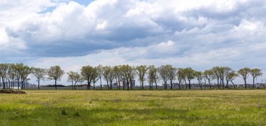 Ağaçlı panoramalar yüksek çözünürlüklü