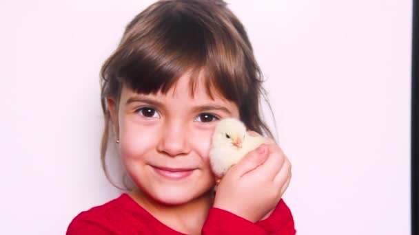 Das Kind Hält Ein Huhn Der Hand — Stockvideo