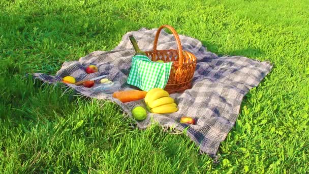Plaid Piknik Trawie — Wideo stockowe