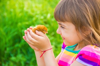 Onun elinde çocuk tavuk. 