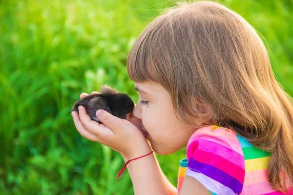 Das Kinderhuhn Seinen Händen — Stockfoto