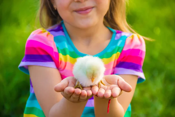 Das Kinderhuhn Seinen Händen — Stockfoto