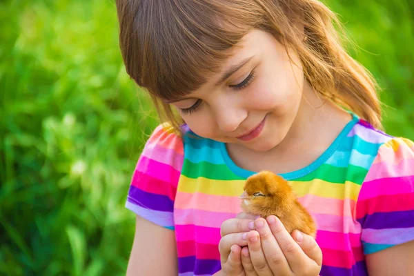 Onun elinde çocuk tavuk. 