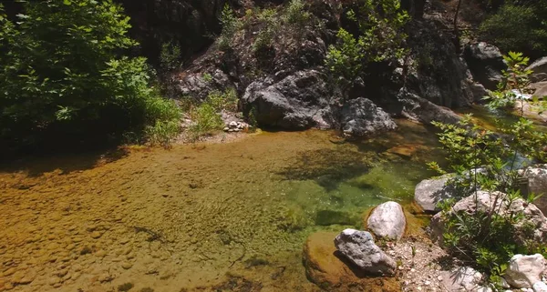 In the image, we decided to take a walk through the nice forest and saw a very beautiful river.