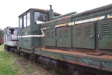Talitsy köyü. Yaroslavl bölgesi, Pereslavl district, Rusya Federasyonu. 26 Haziran 2009. Pereslavl demiryolu Müzesi. Guguk kuşu (içinde Rusça - Kukushka) bir küçük buharlı lokomotif veya bir dar hat demiryolu http://kukushka.ru/ Retro depo trende olduğunu. Eski dar