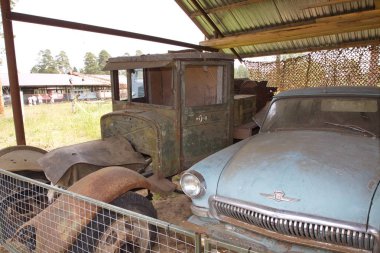 Talitsy köyü. Yaroslavl bölgesi, Pereslavl district, Rusya Federasyonu. 26 Haziran 2009. Pereslavl demiryolu Müzesi. Guguk kuşu (içinde Rusça - Kukushka) bir küçük buharlı lokomotif veya bir dar hat demiryolu http://kukushka.ru/ Retro depo trende olduğunu. Eski dar
