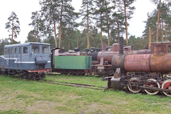 Pueblo Talitsy Yaroslavl Region Pereslavl District Russia Junio 2009 Museo — Foto de Stock