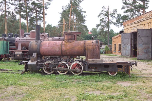 Talitsy ヤロスラヴリ地域 ペレスラヴリ地区 ロシア 2009 ペレスラヴリ鉄道博物館 ロシア語 Kukushka のカッコウは 小さな蒸気機関車または鉄道狭いゲージの鉄道 — ストック写真