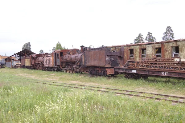 Talitsy ヤロスラヴリ地域 ペレスラヴリ地区 ロシア 2009 ペレスラヴリ鉄道博物館 ロシア語 Kukushka のカッコウは 小さな蒸気機関車または鉄道狭いゲージの鉄道 — ストック写真