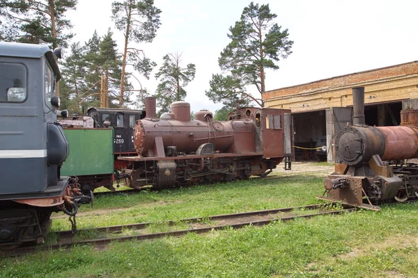 Talitsy ヤロスラヴリ地域 ペレスラヴリ地区 ロシア 2009 ペレスラヴリ鉄道博物館 ロシア語 Kukushka のカッコウは 小さな蒸気機関車または鉄道狭いゲージの鉄道 — ストック写真