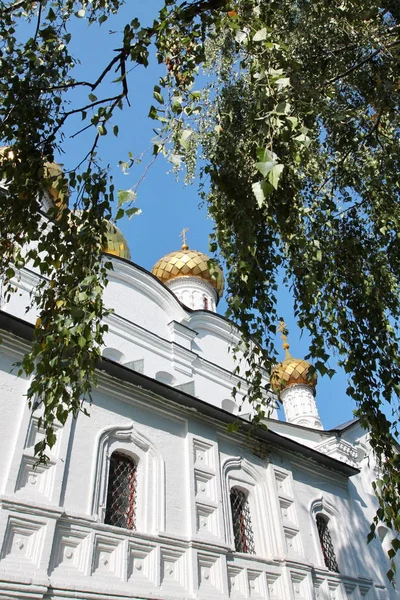 2008 Május Szeptember 2009 Kostroma Város Festői Volga Partján Található — Stock Fotó