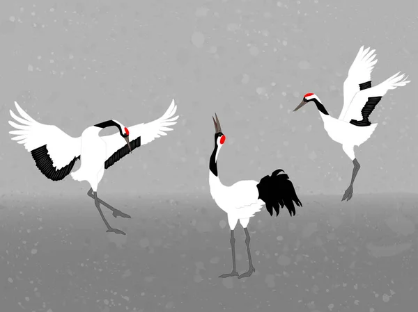 Grues Couronne Rouge Sur Fond Gris Illustration Vectorielle — Image vectorielle