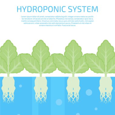 Hydroponic sistemi kavramı