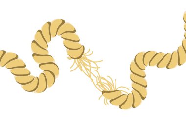 yırtık halat illüstrasyon