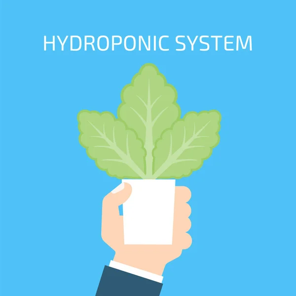 Concepto de sistema hidropónico — Vector de stock