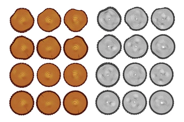 Troncs d'arbres coupés avec anneaux annuels — Image vectorielle