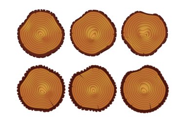 ağaç gövdeleri yıllık halkalar ile kesmek