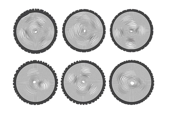 Troncos de árbol cortados con anillos anuales — Vector de stock