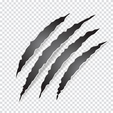 Claws scratches of animal clipart